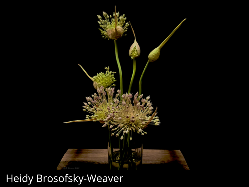 images/Heidy%20Weaver%20Artist%20Directory.png#joomlaImage://local-images/Heidy Weaver Artist Directory.png?width=800&height=600